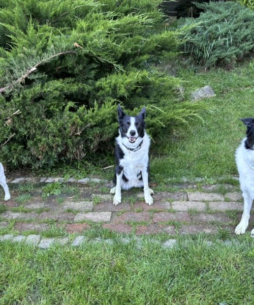 05EBEEE6-AA70-4F3C-956E-CFA884237B7F_1_105_c