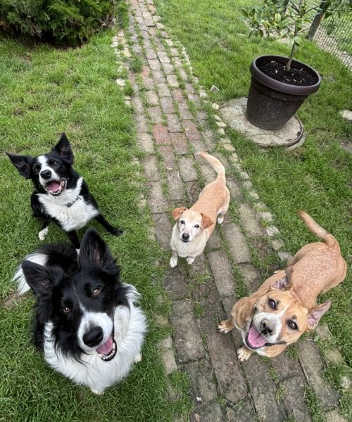 18FCA495-D7DE-4696-B3EC-C1F897C52244_1_105_c