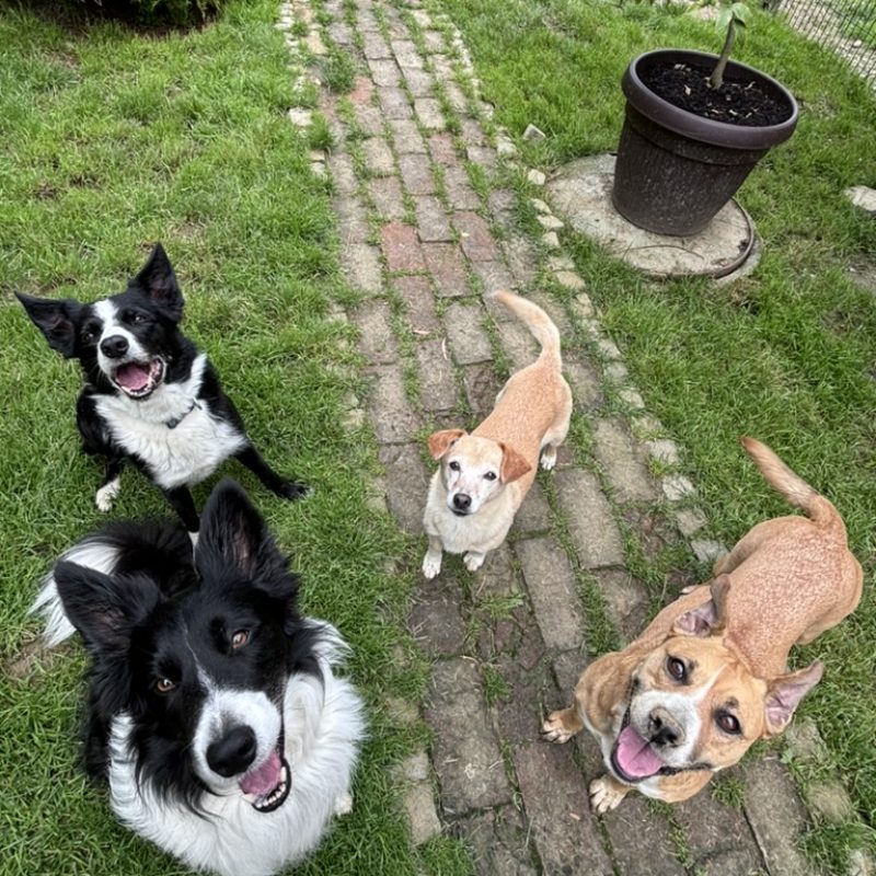 18FCA495-D7DE-4696-B3EC-C1F897C52244_1_105_c