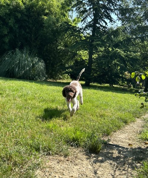 2CCDAFA2-5144-4046-91A4-0264364AABA4_1_105_c