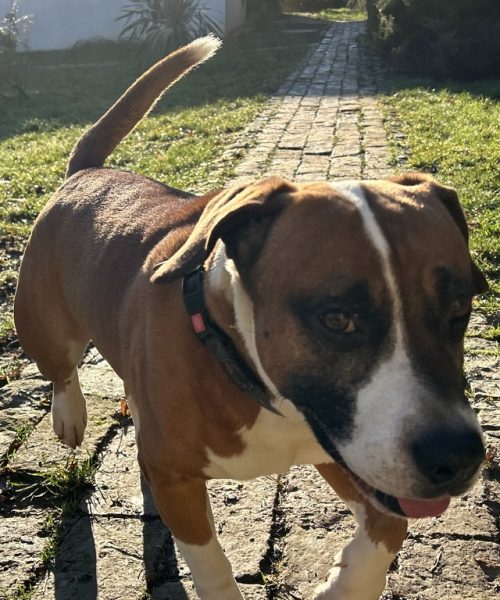 4C2F047E-7A75-4752-BFD5-8ED3FACB3438_1_105_c