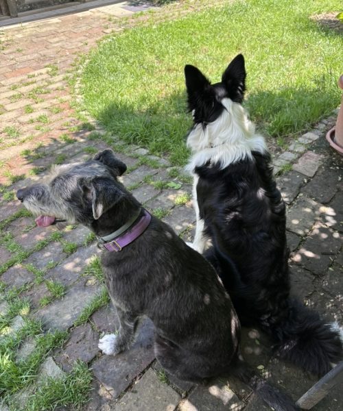 697070B4-7EDC-4E3C-B4C2-C722B7559EC9_1_105_c