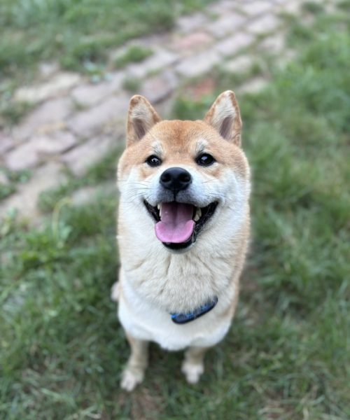 C0B6203E-C5FA-41D6-A13C-9FFC702596A6_1_105_c