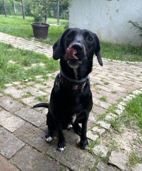 CFC4D146-BB0E-46A1-B239-707BE31F5E51_1_105_c