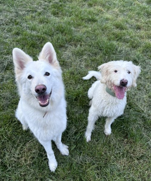 DF92058E-4778-4257-BF2E-257DBAFEBAA3_1_105_c