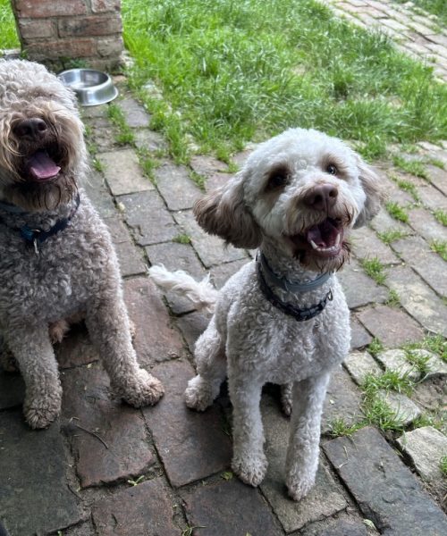 E94795CF-23A2-4CF5-BBF5-821F7E7CC501_1_105_c