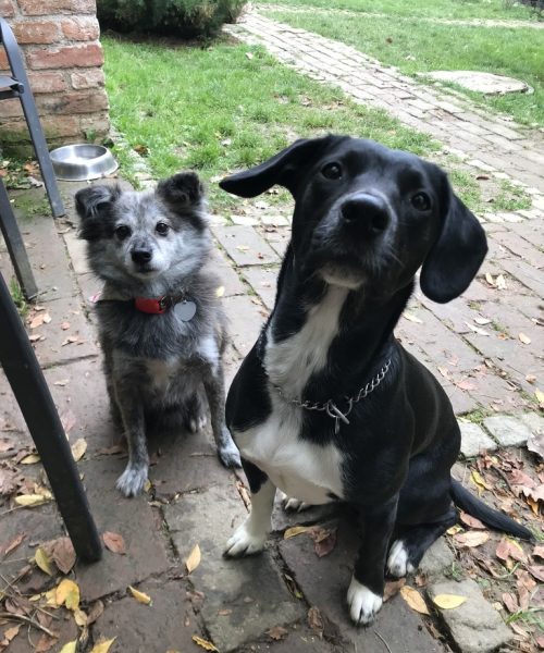 F4400904-6EBE-4041-AEE8-C0C6F6067F45_1_105_c